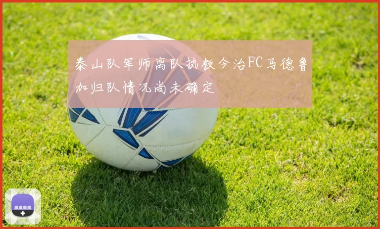 泰山队军师离队执教今治FC马德鲁加归队情况尚未确定